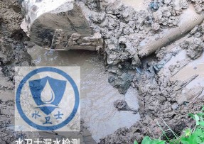 兴隆水管漏水检测公司5